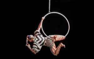 Aerial Hoop / Lyra Hoop