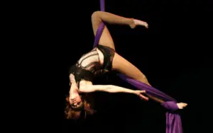 Aerial Silks