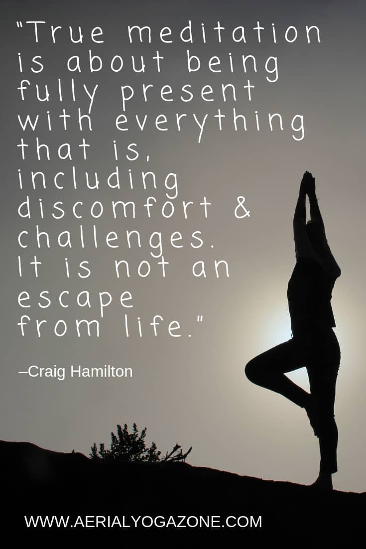 "True meditation is about being fully present with everything that is, including discomfort and challenges. It is not an escape from life." - Craig Hamilton