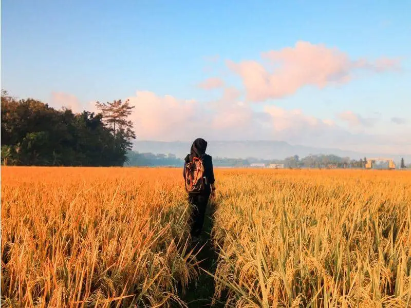 Person walking alone